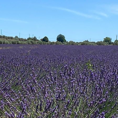 Gite Cocotte Luberon, Forcalquier Pierrerue  Bagian luar foto