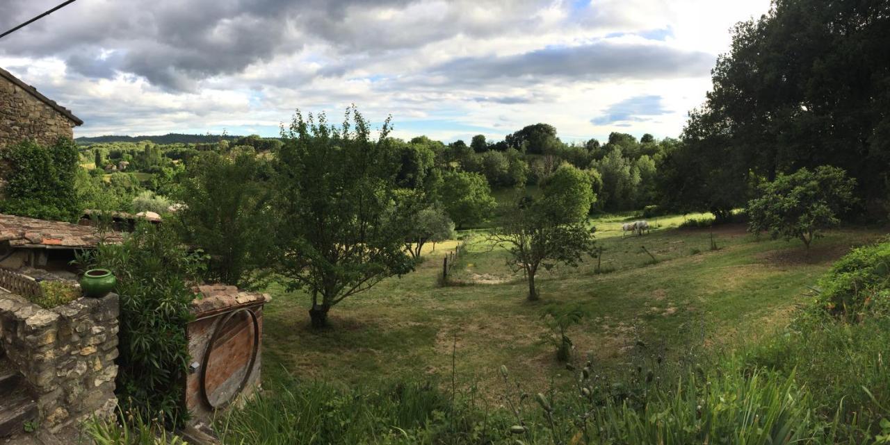 Gite Cocotte Luberon, Forcalquier Pierrerue  Bagian luar foto